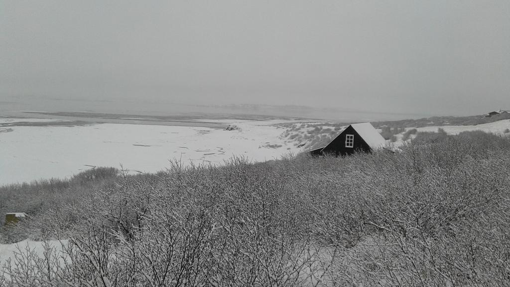 Black Timber House Borgarnes Buitenkant foto